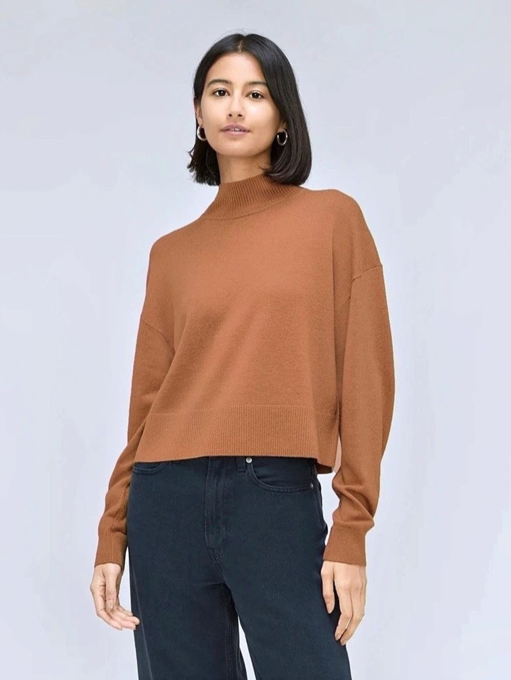Everlane | The Luxe Merino Turtleneck